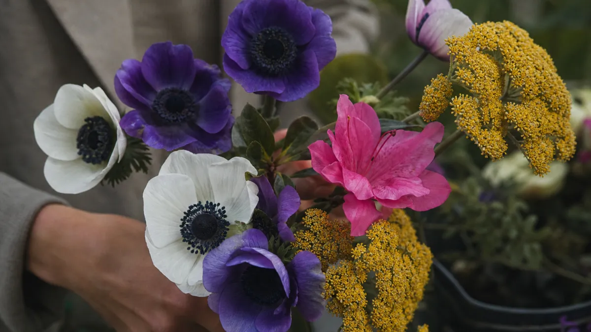 Fleurs qui commencent par la lettre A : liste et conseils